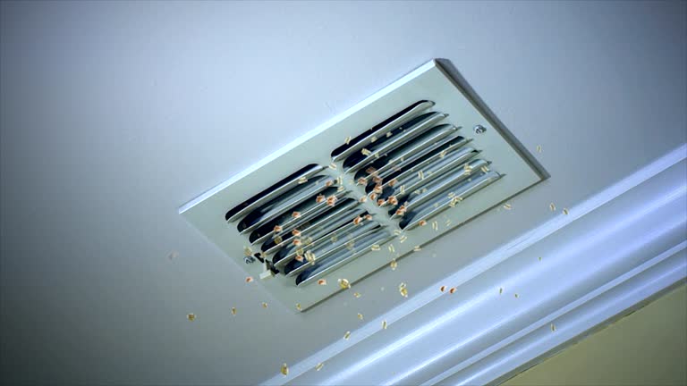 Best HVAC Air Duct Cleaning  in Winnsboro, LA