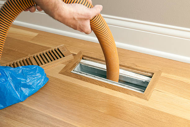 Best Air Duct Mold Removal  in Winnsboro, LA